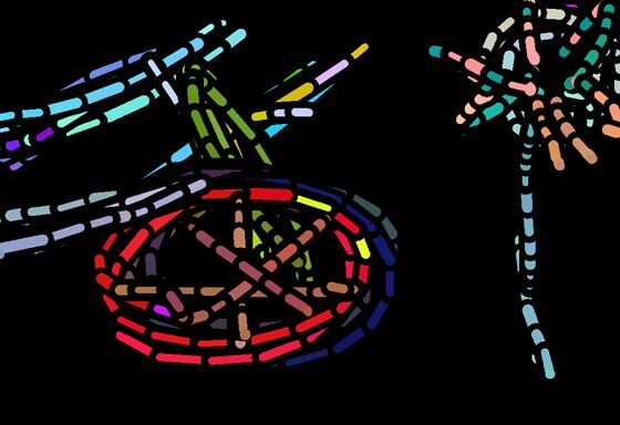 Click to See Next Image