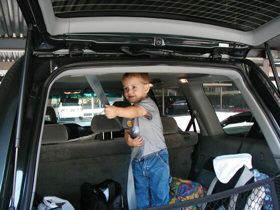 Click to See Next Image