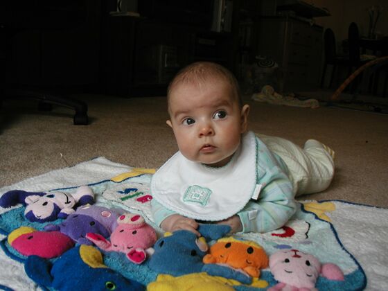 Click to See Next Image