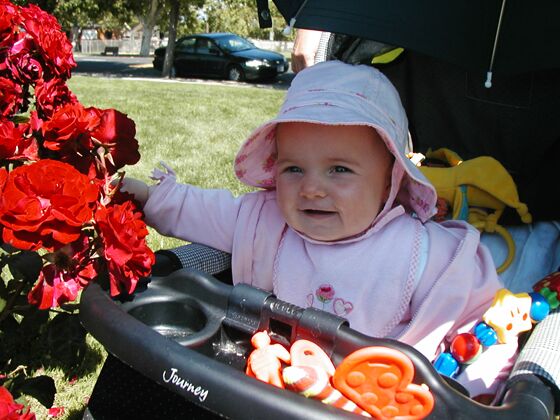 Click to See Next Image