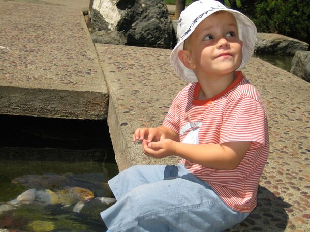 Click to See Next Image