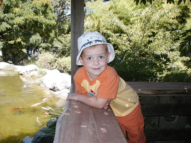 Click to See Next Image