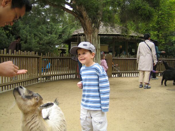 Click to See Next Image