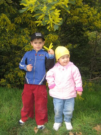 Click to See Next Image