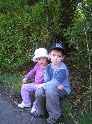 Click to See Next Image