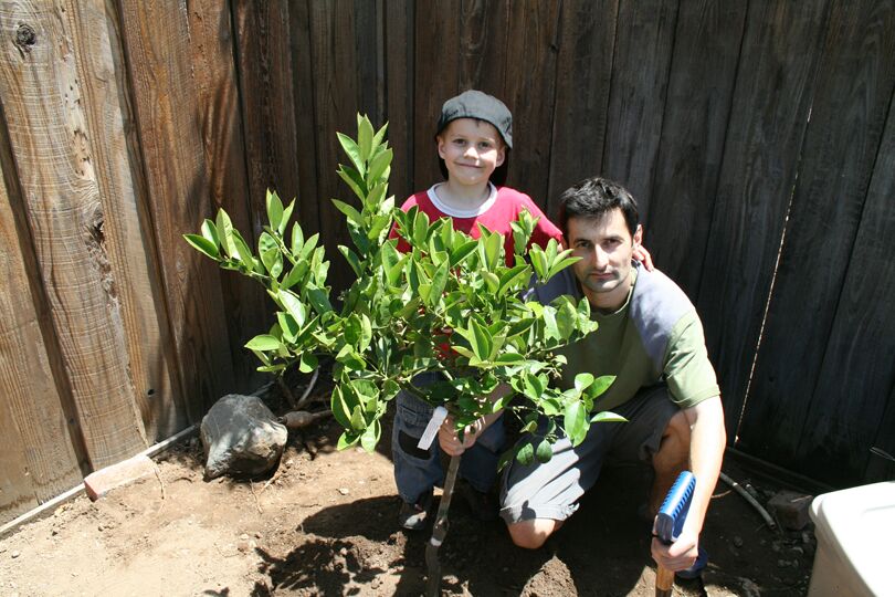 Click to See Next Image