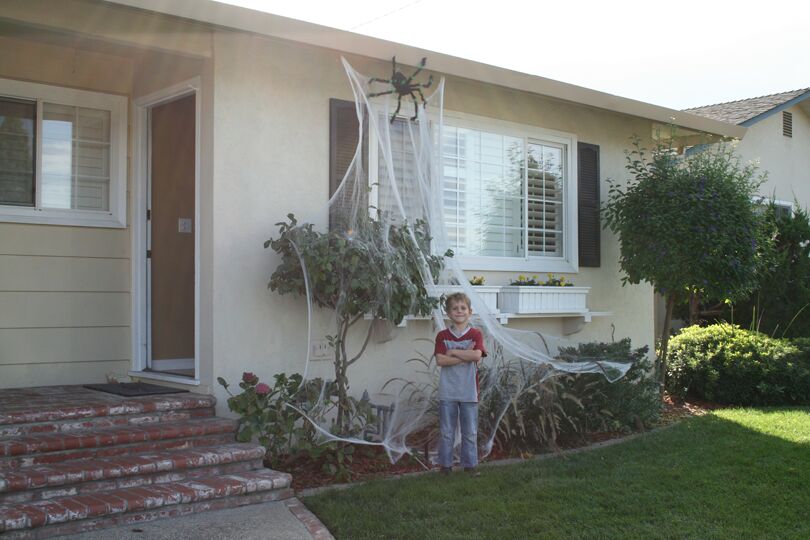 Click to See Next Image