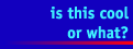 coolhilite.GIF (1996 bytes)